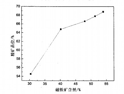 磁鐵礦含量與精礦品位關系圖